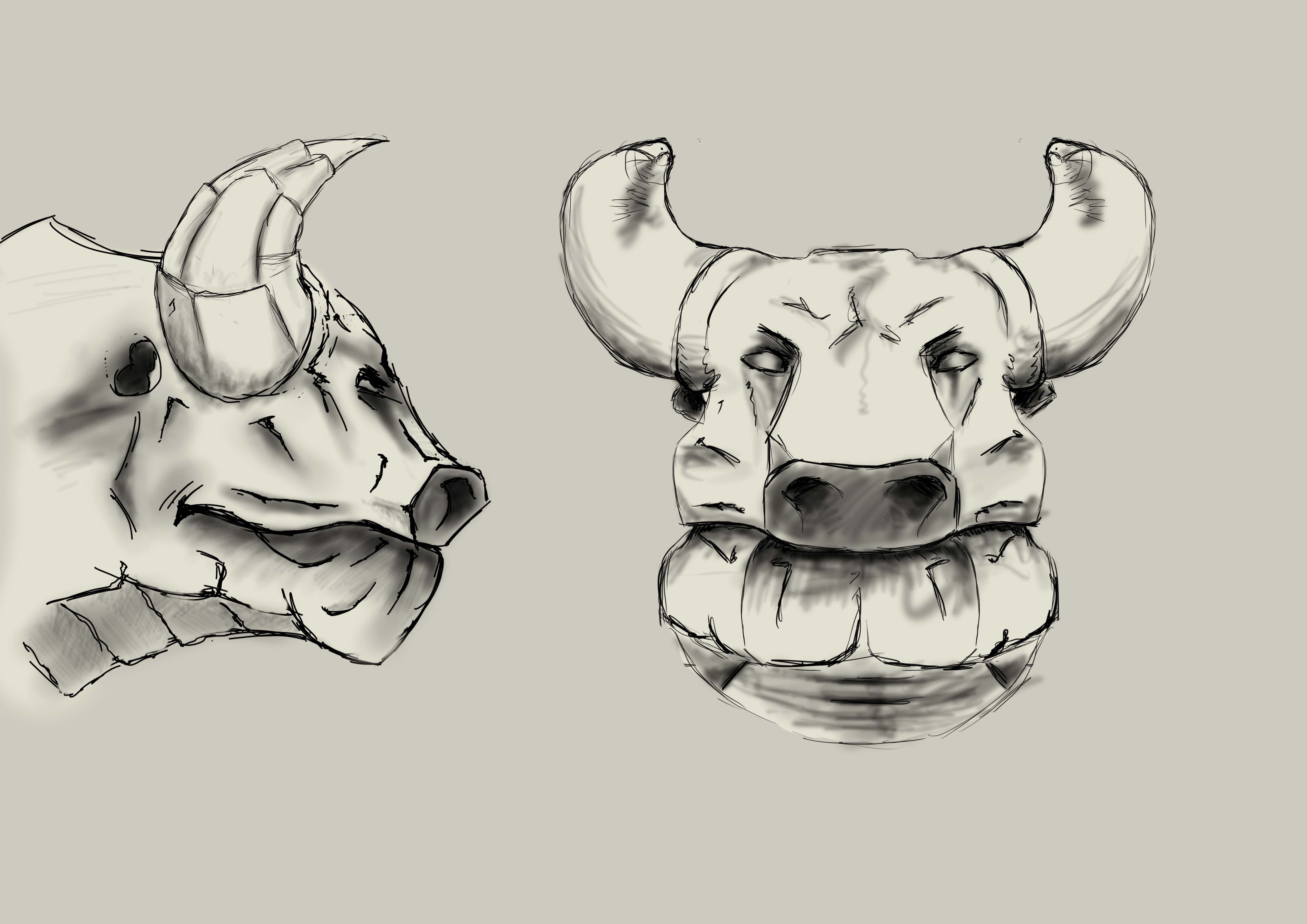 bull modelsheet